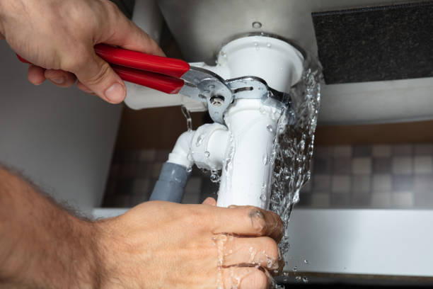 Best Flood damage cleanup  in Elmira, NY
