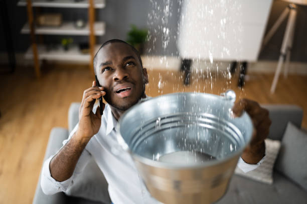 Best Water damage contractors near me  in Elmira, NY