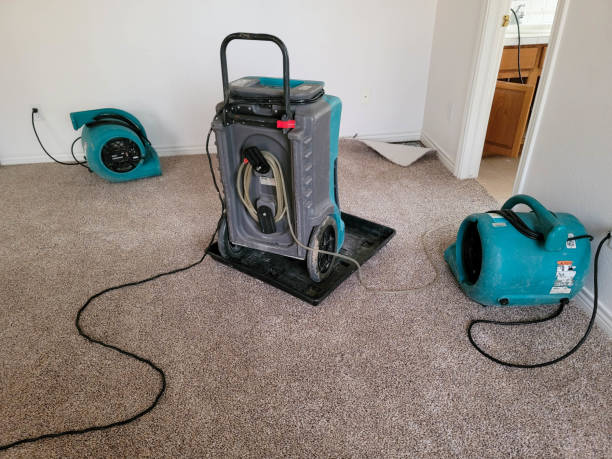 Best Basement water damage restoration  in Elmira, NY