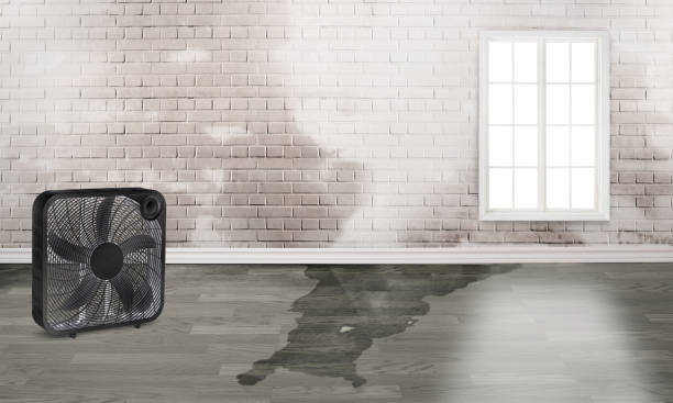  Elmira, NY Water damage restoration Pros