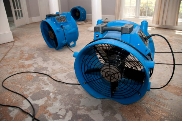 Best Flooded house restoration  in Elmira, NY