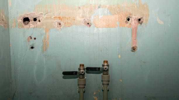 Best Carpet water damage restoration  in Elmira, NY