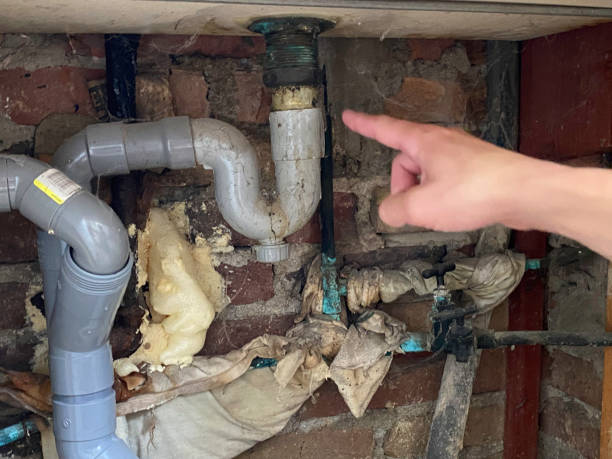 Best Sewage cleanup and water damage restoration  in Elmira, NY