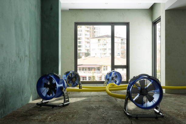Best 24-hour water damage restoration  in Elmira, NY