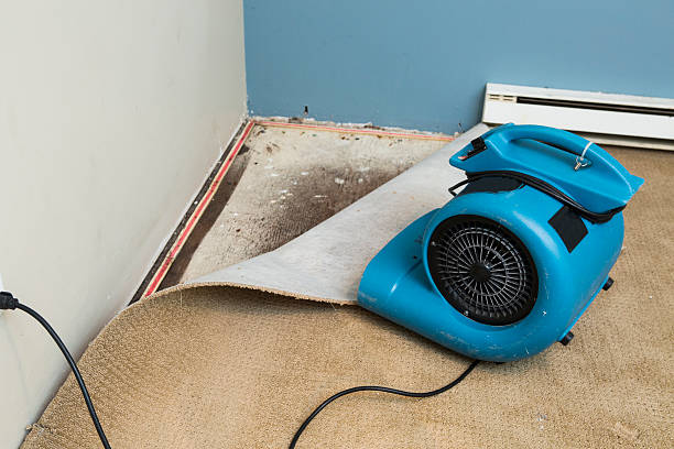 Best Water damage restoration near me  in Elmira, NY