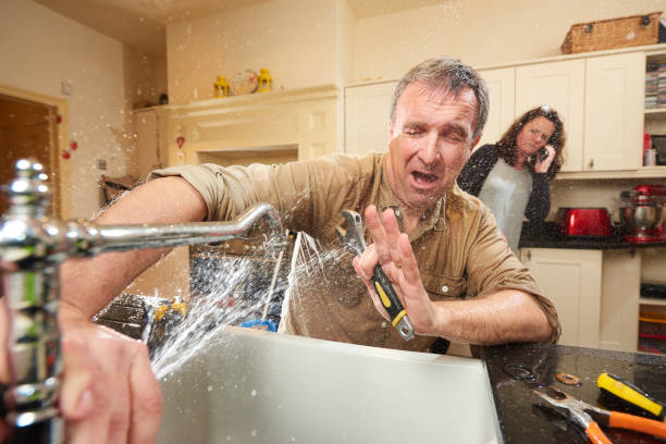 Best Flood damage cleanup  in Elmira, NY
